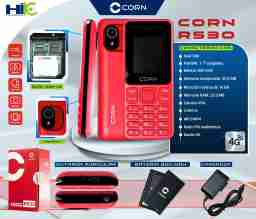 CORN RS30 4G HIK